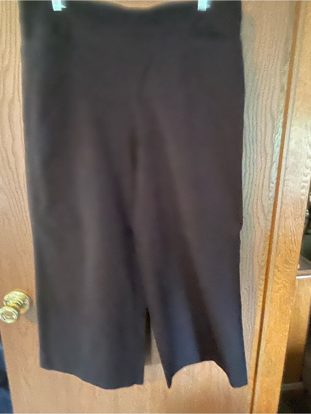 Chico's Bridget wide leg ankle pant size 2.5